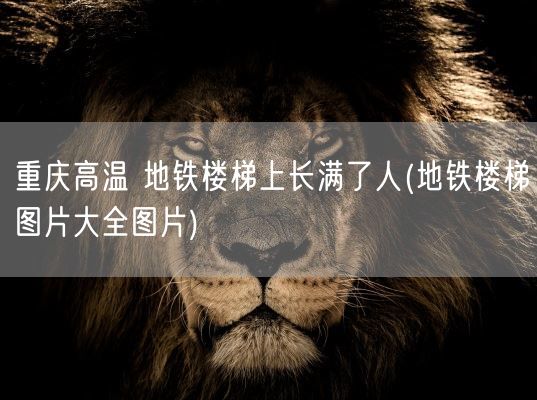 重庆高温 地铁楼梯上长满了人(地铁楼梯图片大全图片)(图1) 重庆高温 地铁楼梯上长满了人(地铁楼梯图片大全图片)(图1)