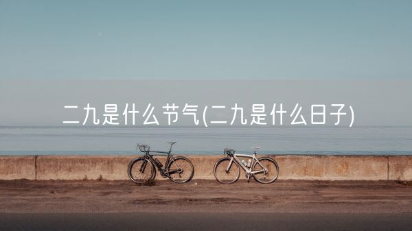 二九是什么节气(二九是什么日子)(图1) 二九是什么节气(二九是什么日子)(图1)