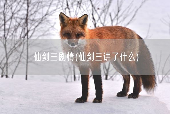 仙剑三剧情(仙剑三讲了什么)(图1) 仙剑三剧情(仙剑三讲了什么)(图1)