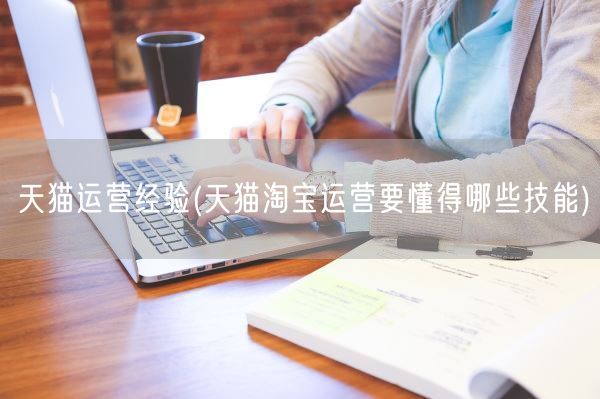 天猫运营经验(天猫淘宝运营要懂得哪些技能)(图1)