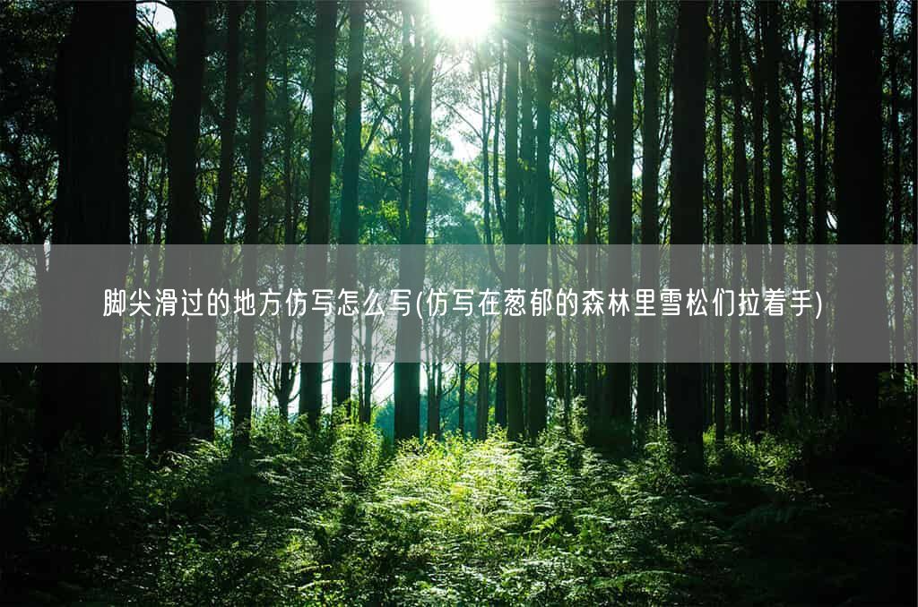 脚尖滑过的地方仿写怎么写(仿写在葱郁的森林里雪松们拉着手)(图1) 脚尖滑过的地方仿写怎么写(仿写在葱郁的森林里雪松们拉着手)(图1)