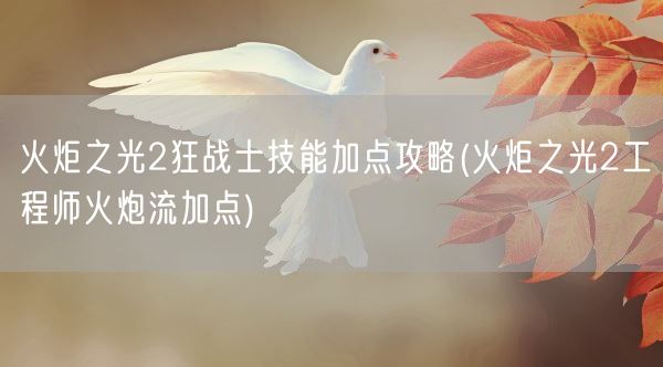 火炬之光2狂战士技能加点攻略(火炬之光2工程师火炮流加点)(图1)
