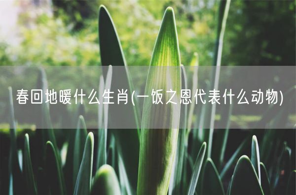 春回地暖什么生肖(一饭之恩代表什么动物)(图1) 春回地暖什么生肖(一饭之恩代表什么动物)(图1)