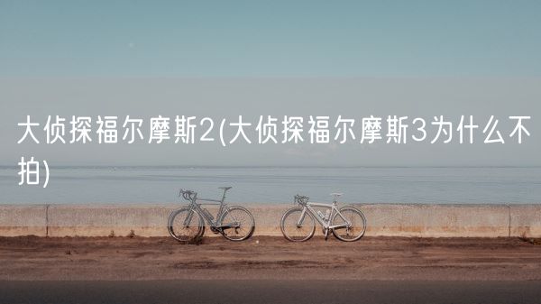 大侦探福尔摩斯2(大侦探福尔摩斯3为什么不拍)(图1)