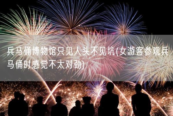 兵马俑博物馆只见人头不见坑(女游客参观兵马俑时感觉不太对劲)(图1) 兵马俑博物馆只见人头不见坑(女游客参观兵马俑时感觉不太对劲)(图1)