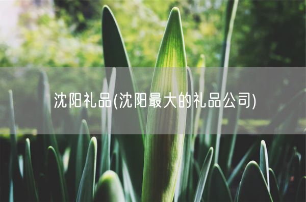 沈阳礼品(沈阳最大的礼品公司)(图1) 沈阳礼品(沈阳最大的礼品公司)(图1)