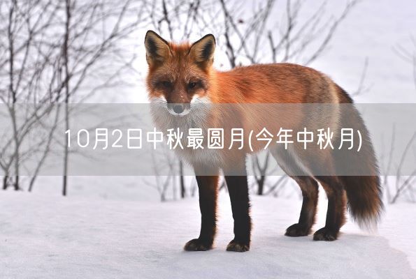 10月2日中秋最圆月(今年中秋月)(图1)