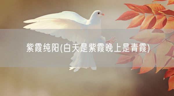 紫霞纯阳(白天是紫霞晚上是青霞)(图1)