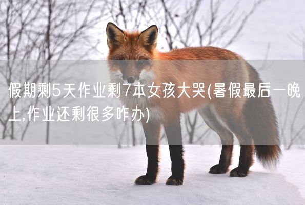 假期剩5天作业剩7本女孩大哭(暑假最后一晚上,作业还剩很多咋办)(图1) 假期剩5天作业剩7本女孩大哭(暑假最后一晚上,作业还剩很多咋办)(图1)
