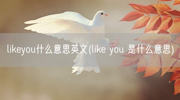 likeyou什么意思英文(like you 是什么意思)(图1)
