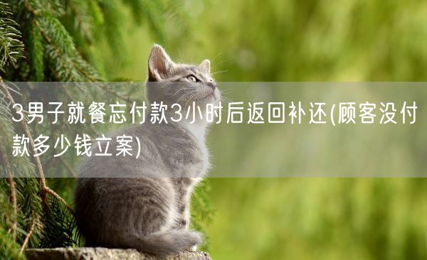 3男子就餐忘付款3小时后返回补还(顾客没付款多少钱立案)(图1)