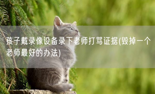 孩子戴录像设备录下老师打骂证据(毁掉一个老师最好的办法)(图1)