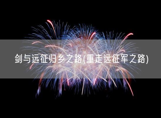 剑与远征归乡之路(重走远征军之路)(图1)