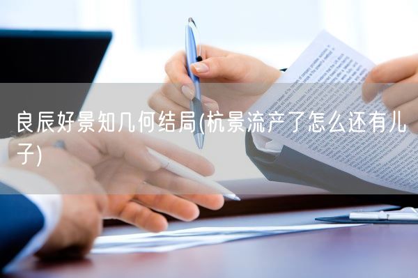 良辰好景知几何结局(杭景流产了怎么还有儿子)(图1)