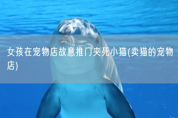 女孩在宠物店故意推门夹死小猫(卖猫的宠物店)(图1)