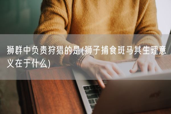 狮群中负责狩猎的是(狮子捕食斑马其生理意义在于什么)(图1) 狮群中负责狩猎的是(狮子捕食斑马其生理意义在于什么)(图1)