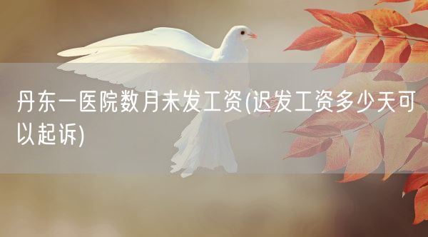 丹东一医院数月未发工资(迟发工资多少天可以起诉)(图1) 丹东一医院数月未发工资(迟发工资多少天可以起诉)(图1)