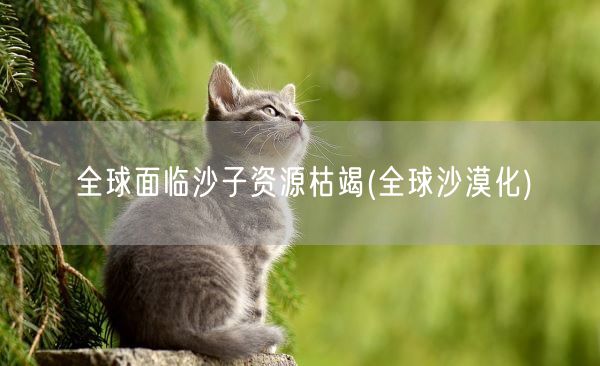 全球面临沙子资源枯竭(全球沙漠化)(图1)