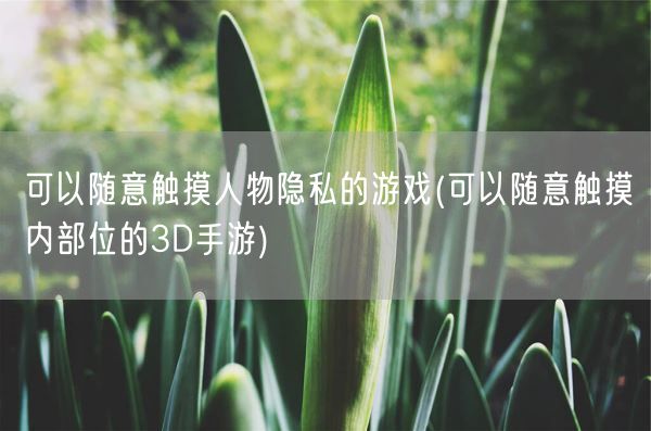 可以随意触摸人物隐私的游戏(可以随意触摸内部位的3D手游)(图1)