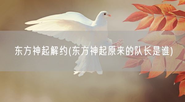东方神起解约(东方神起原来的队长是谁)(图1)