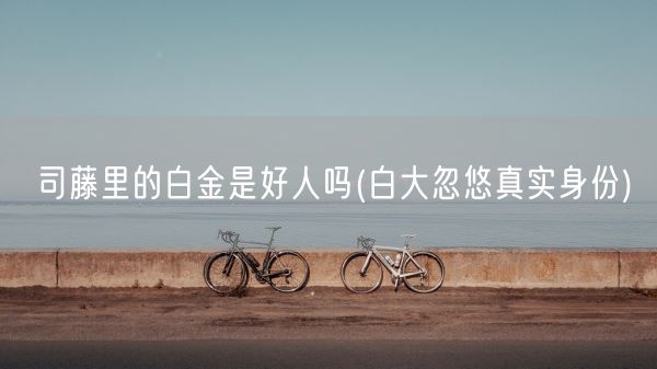 司藤里的白金是好人吗(白大忽悠真实身份)(图1) 司藤里的白金是好人吗(白大忽悠真实身份)(图1)