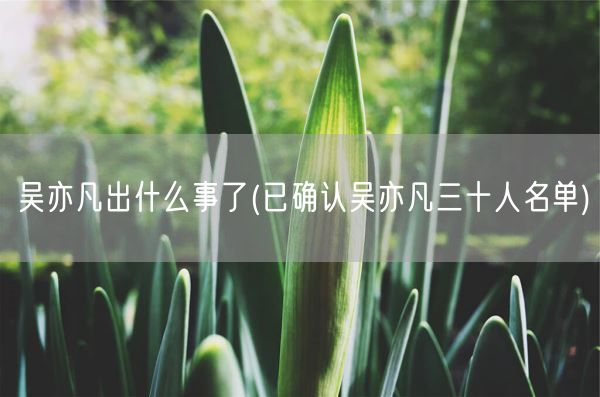 吴亦凡出什么事了(已确认吴亦凡三十人名单)(图1)