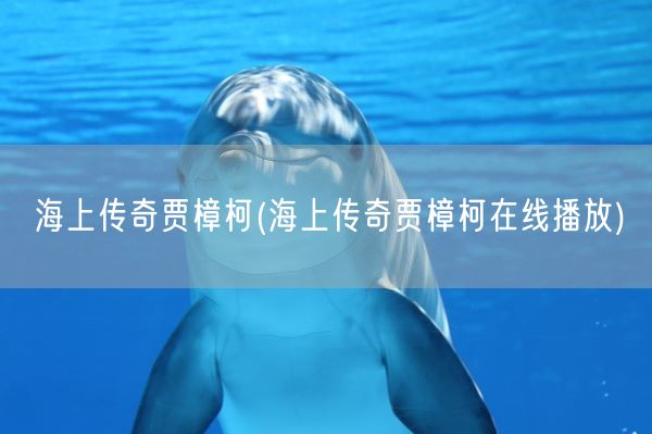 海上传奇贾樟柯(海上传奇贾樟柯在线播放)(图1) 海上传奇贾樟柯(海上传奇贾樟柯在线播放)(图1)