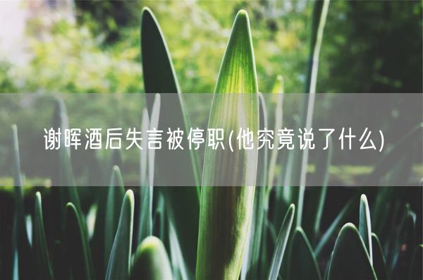 谢晖酒后失言被停职(他究竟说了什么)(图1) 谢晖酒后失言被停职(他究竟说了什么)(图1)