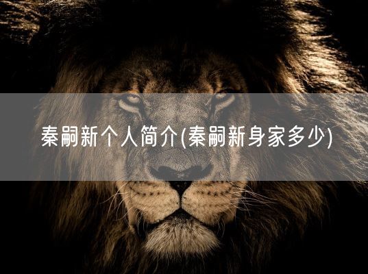 秦嗣新个人简介(秦嗣新身家多少)(图1)