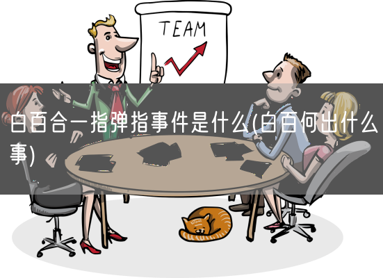 白百合一指弹指事件是什么(白百何出什么事)(图1) 白百合一指弹指事件是什么(白百何出什么事)(图1)