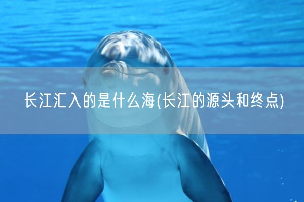 长江汇入的是什么海(长江的源头和终点)(图1) 长江汇入的是什么海(长江的源头和终点)(图1)