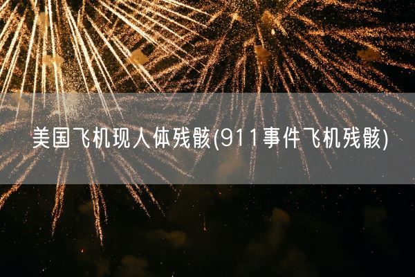 美国飞机现人体残骸(911事件飞机残骸)(图1)