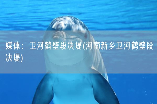 媒体：卫河鹤壁段决堤(河南新乡卫河鹤壁段决堤)(图1)