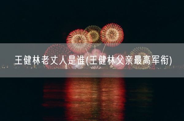 王健林老丈人是谁(王健林父亲最高军衔)(图1)