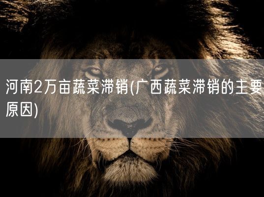 河南2万亩蔬菜滞销(广西蔬菜滞销的主要原因)(图1) 河南2万亩蔬菜滞销(广西蔬菜滞销的主要原因)(图1)