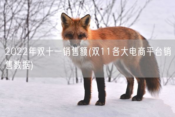 2022年双十一销售额(双11各大电商平台销售数据)(图1) 2022年双十一销售额(双11各大电商平台销售数据)(图1)