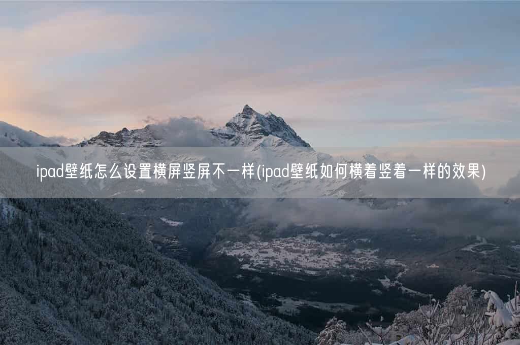 ipad壁纸怎么设置横屏竖屏不一样(ipad壁纸如何横着竖着一样的效果)(图1)