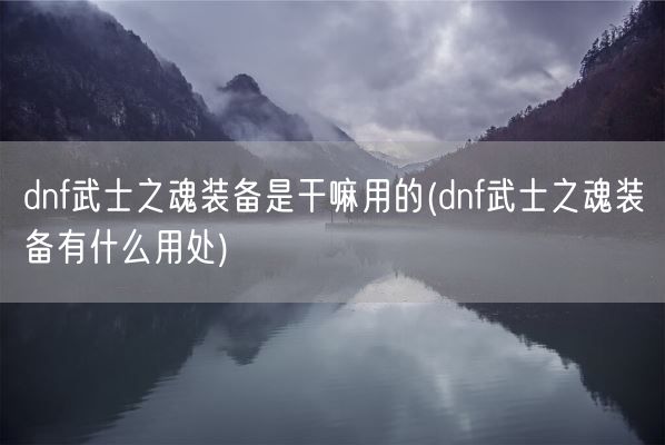 dnf武士之魂装备是干嘛用的(dnf武士之魂装备有什么用处)(图1)