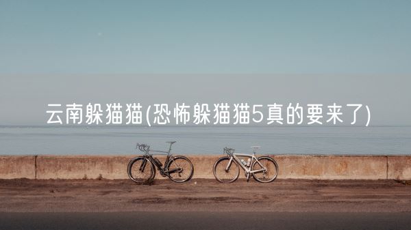 云南躲猫猫(恐怖躲猫猫5真的要来了)(图1) 云南躲猫猫(恐怖躲猫猫5真的要来了)(图1)