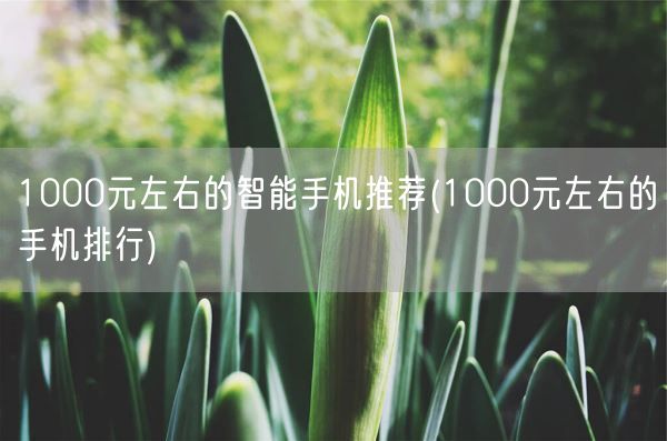 1000元左右的智能手机推荐(1000元左右的手机排行)(图1) 1000元左右的智能手机推荐(1000元左右的手机排行)(图1)