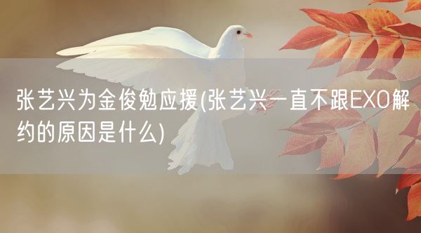 张艺兴为金俊勉应援(张艺兴一直不跟EXO解约的原因是什么)(图1) 张艺兴为金俊勉应援(张艺兴一直不跟EXO解约的原因是什么)(图1)