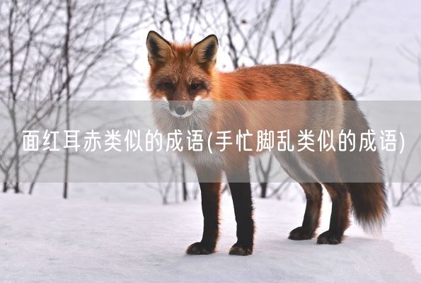 面红耳赤类似的成语(手忙脚乱类似的成语)(图1)