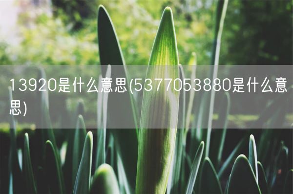 13920是什么意思(5377053880是什么意思)(图1)