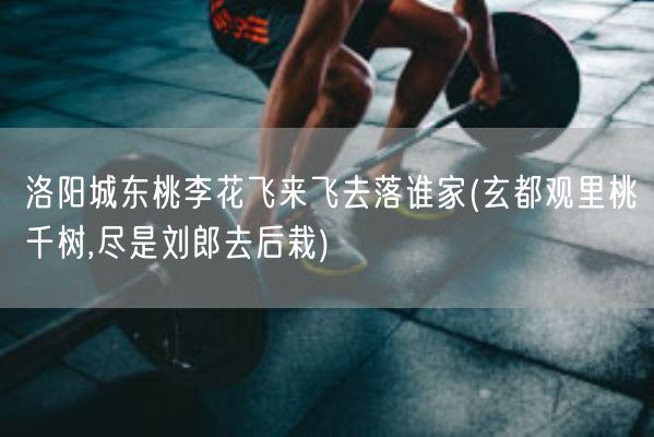 洛阳城东桃李花飞来飞去落谁家(玄都观里桃千树,尽是刘郎去后栽)(图1) 洛阳城东桃李花飞来飞去落谁家(玄都观里桃千树,尽是刘郎去后栽)(图1)