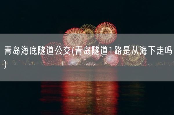 青岛海底隧道公交(青岛隧道1路是从海下走吗)(图1) 青岛海底隧道公交(青岛隧道1路是从海下走吗)(图1)