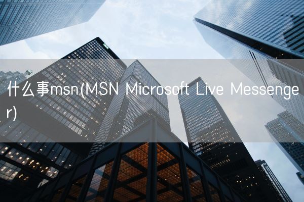什么事msn(MSN Microsoft Live Messenger)(图1)