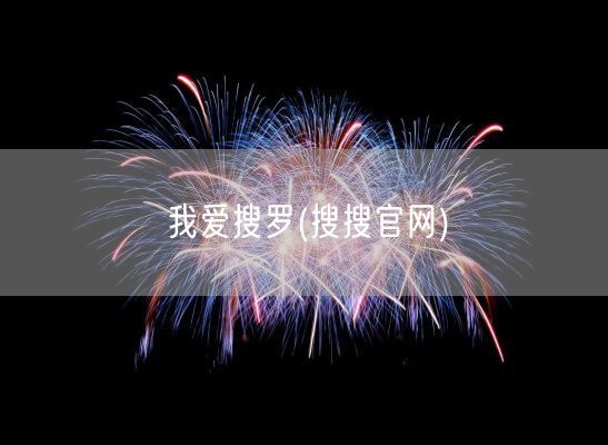 我爱搜罗(搜搜官网)(图1)