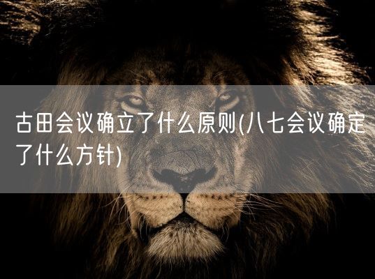 古田会议确立了什么原则(八七会议确定了什么方针)(图1)