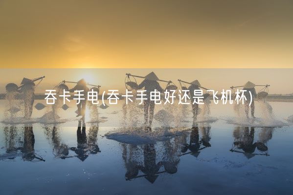 吞卡手电(吞卡手电好还是飞机杯)(图1)