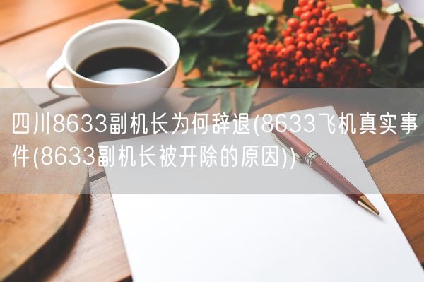 四川8633副机长为何辞退(8633飞机真实事件(8633副机长被开除的原因))(图1) 四川8633副机长为何辞退(8633飞机真实事件(8633副机长被开除的原因))(图1)